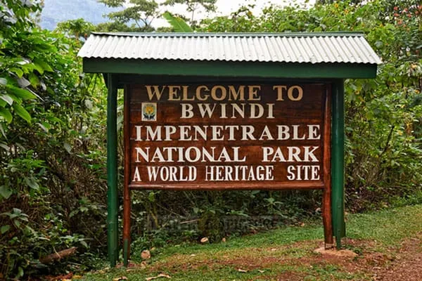 Luxury Helicopter Transfers from Kigali to Bwindi