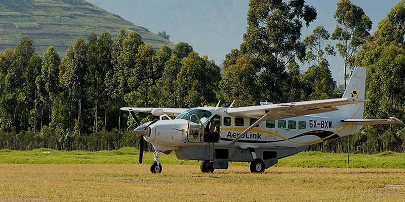 Fly-in gorilla safaris have become increasingly popular among luxury travelers seeking convenience and efficiency. Domestic flights connect major airports with remote gorilla trekking regions, allowing guests to maximize