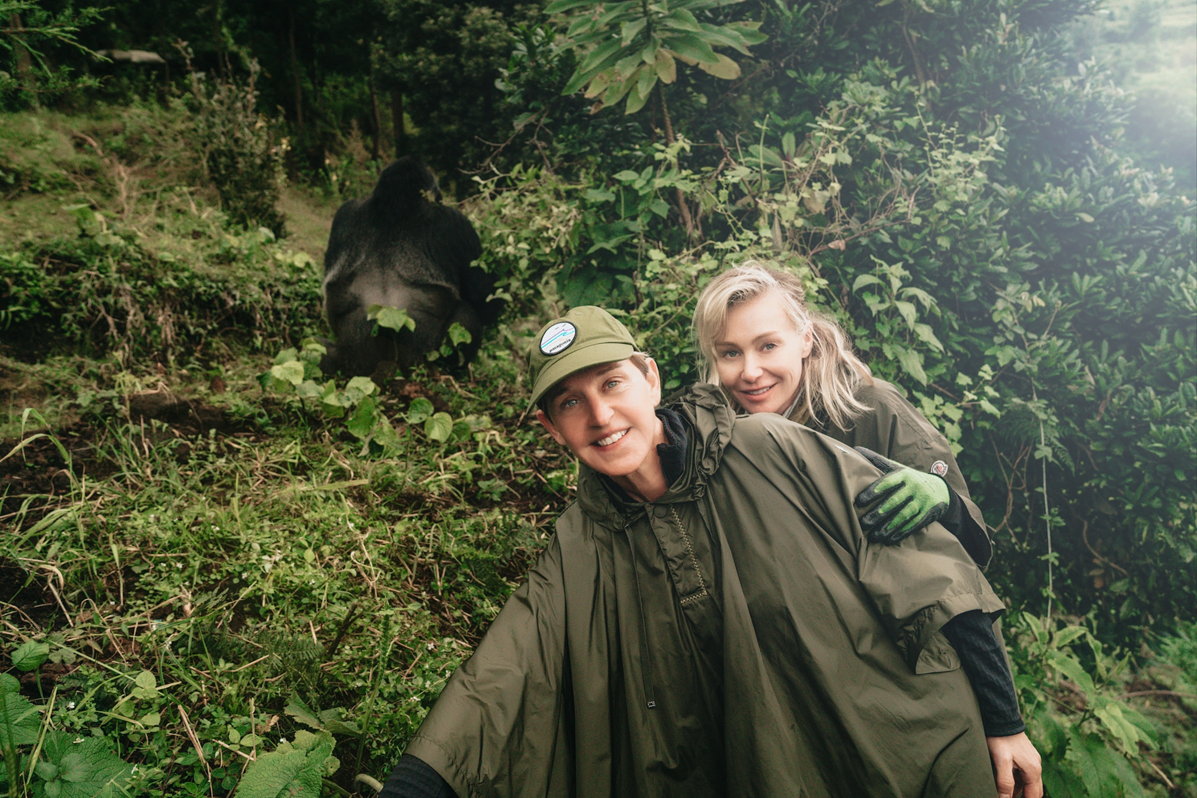 Luxury Gorilla Safari Packages 2026 are increasingly popular among honeymooners 