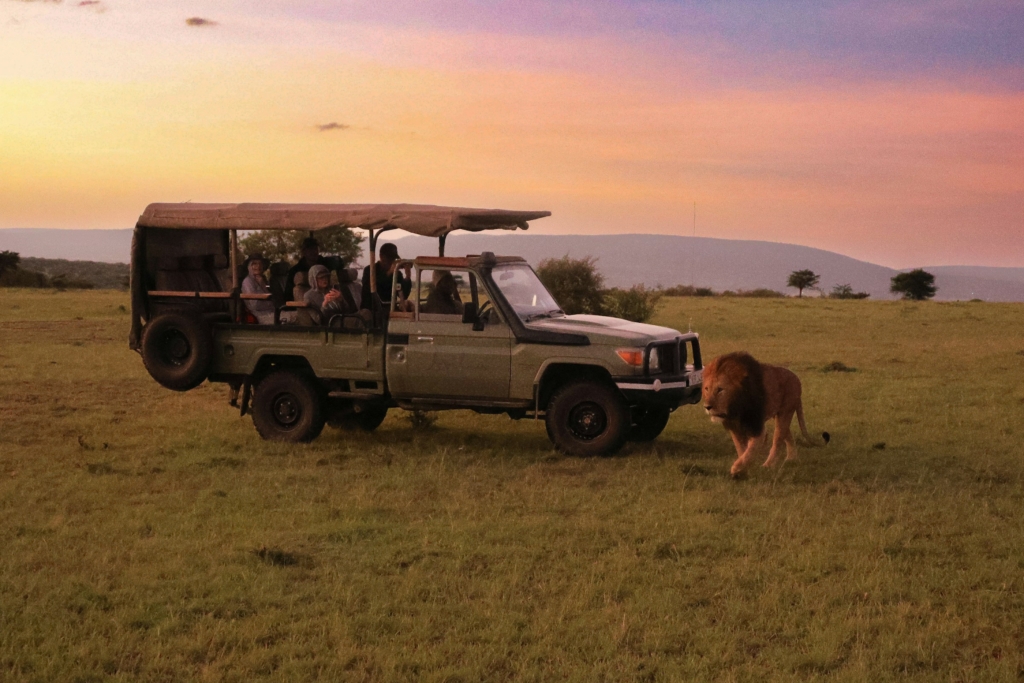 Luxury Serengeti and Gorilla Safari Adventure