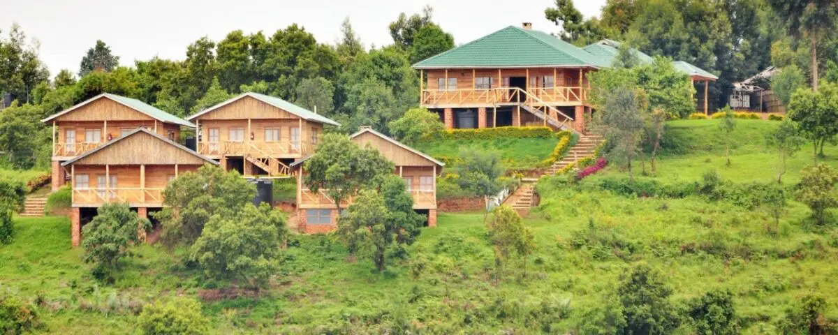 Luxury Gorilla Trekking in Ruhija Lodge