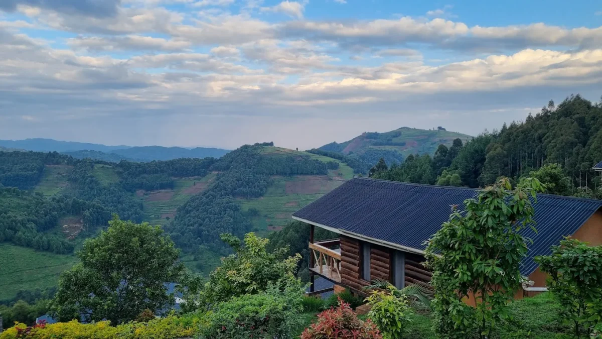 Luxury Gorilla Trekking in Ruhija View