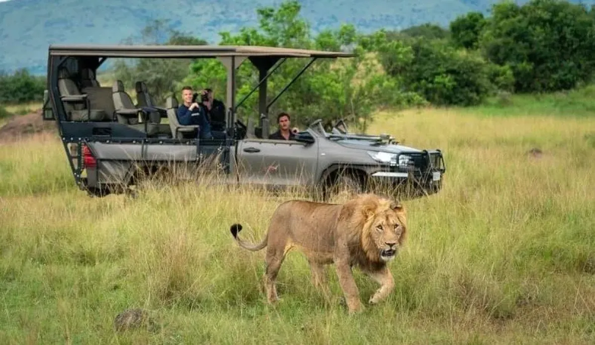 Luxury Gorilla Trekking with Butler Service