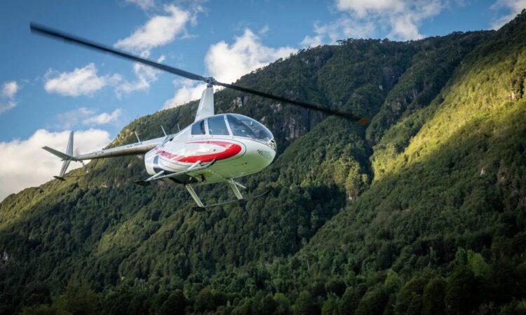 Luxury Gorilla Trekking Fly-In Experience
