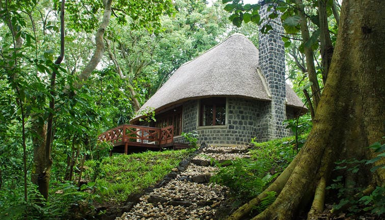 Mikeno Lodge
Mikeno Lodge is considered one of the finest luxury lodges in Congo and serves as the primary luxury base for gorilla trekking in Virunga. Surrounded by tropical forest near the park headquarters, the lodge offers elegant chalets built with volcanic stone and hardwood interiors that blend beautifully with the surrounding environment. Luxury travelers staying at Mikeno Lodge enjoy spacious rooms, fireplaces, gourmet dining, spa services, private terraces, and personalized safari experiences designed for comfort and exclusivity. The peaceful