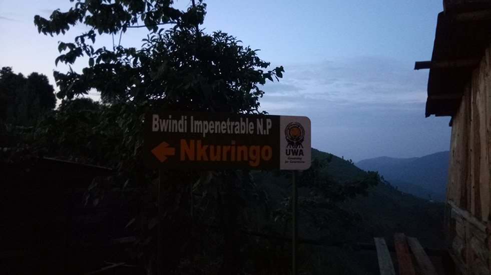 The Nkuringo sector is one of the most spectacular destinations for Helicopter Transfers from Kigali to Bwindi because of its dramatic mountain scenery, elevated rainforest ridges, and breathtaking views of the Virunga Volcanoes. Helicopter flights into Nkuringo provide