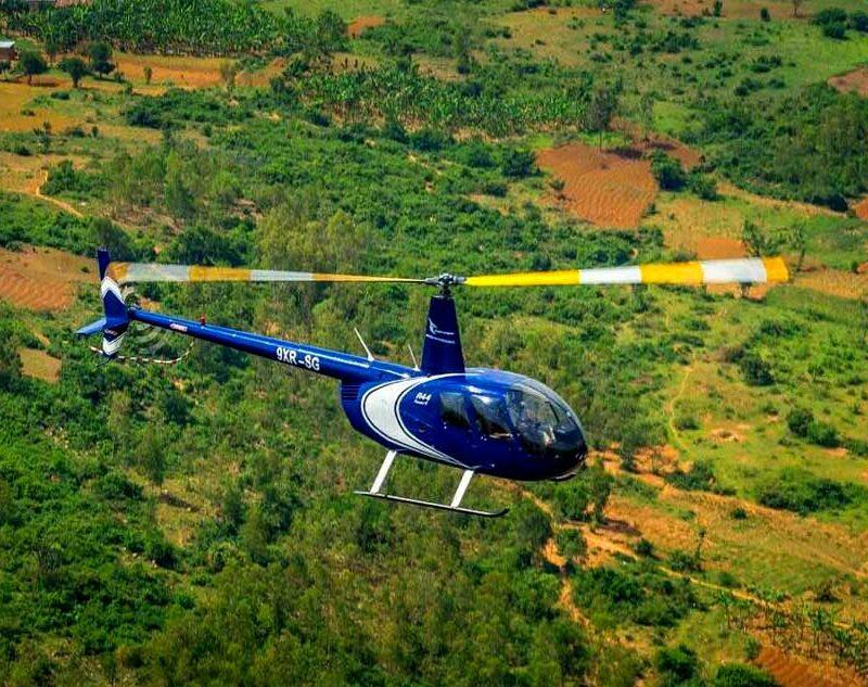 Private Jet Gorilla Safaris Flight
