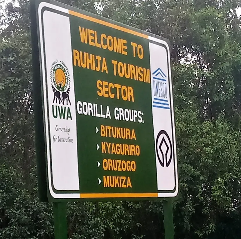 Ruhija offers peaceful rainforest experiences, cool mountain climates, exceptional birdwatching opportunities, and