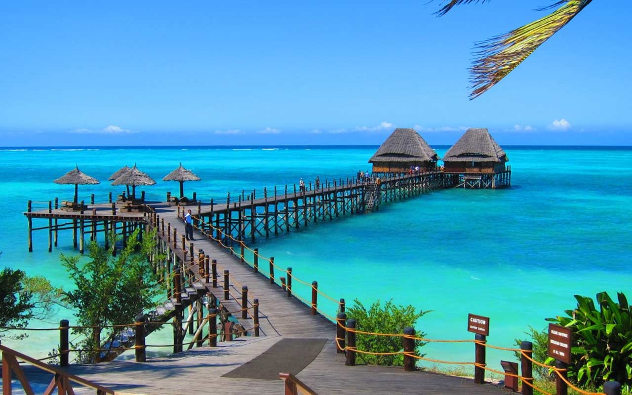 Serengeti Safari and Zanzibar Honeymoon