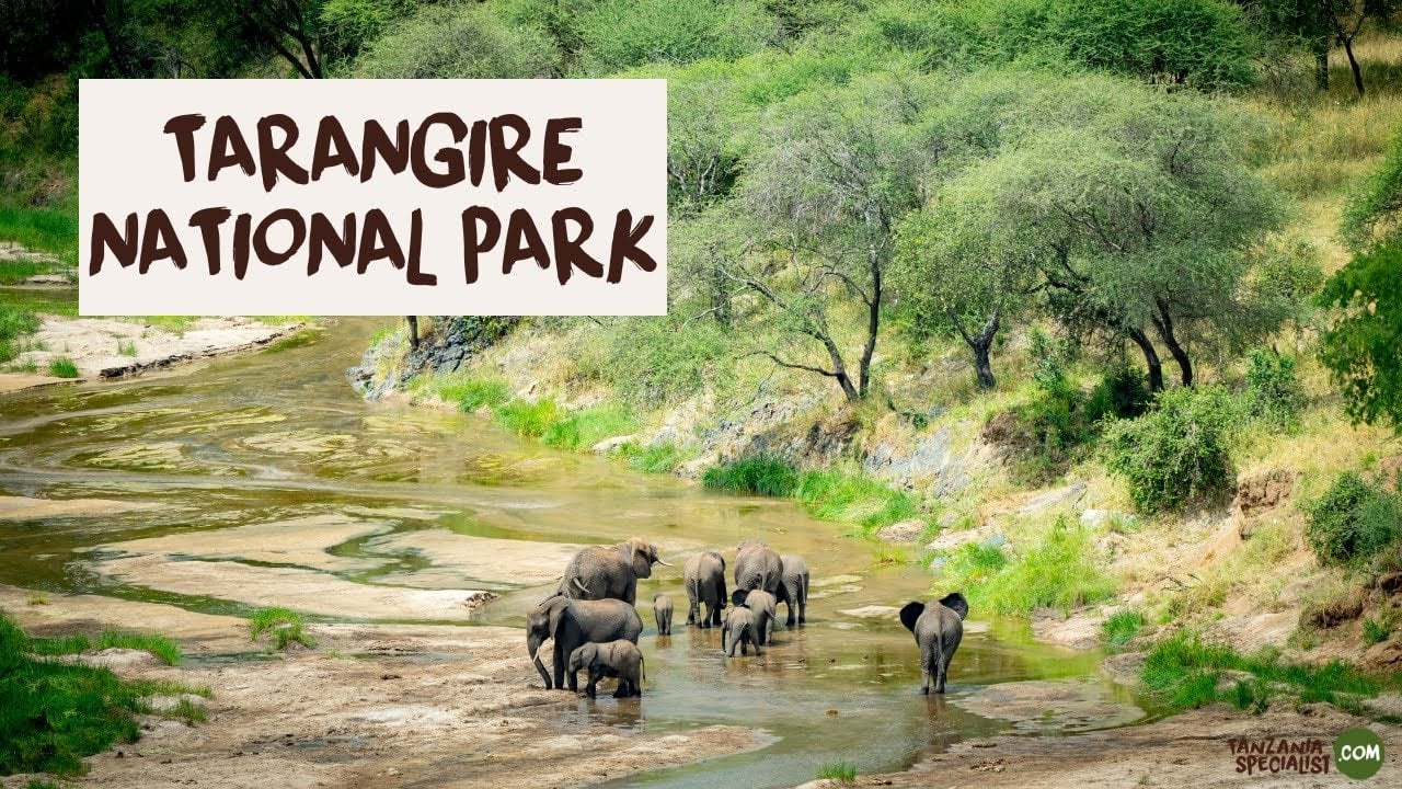 Tarangire