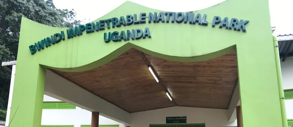 Bwindi Impenetrable National Park is one of the most popular destinations for Luxury Gorilla Trekking with Chartered Flights. Travelers commonly fly directly from Entebbe International Airport or Kigali International Airport to nearby airstrips