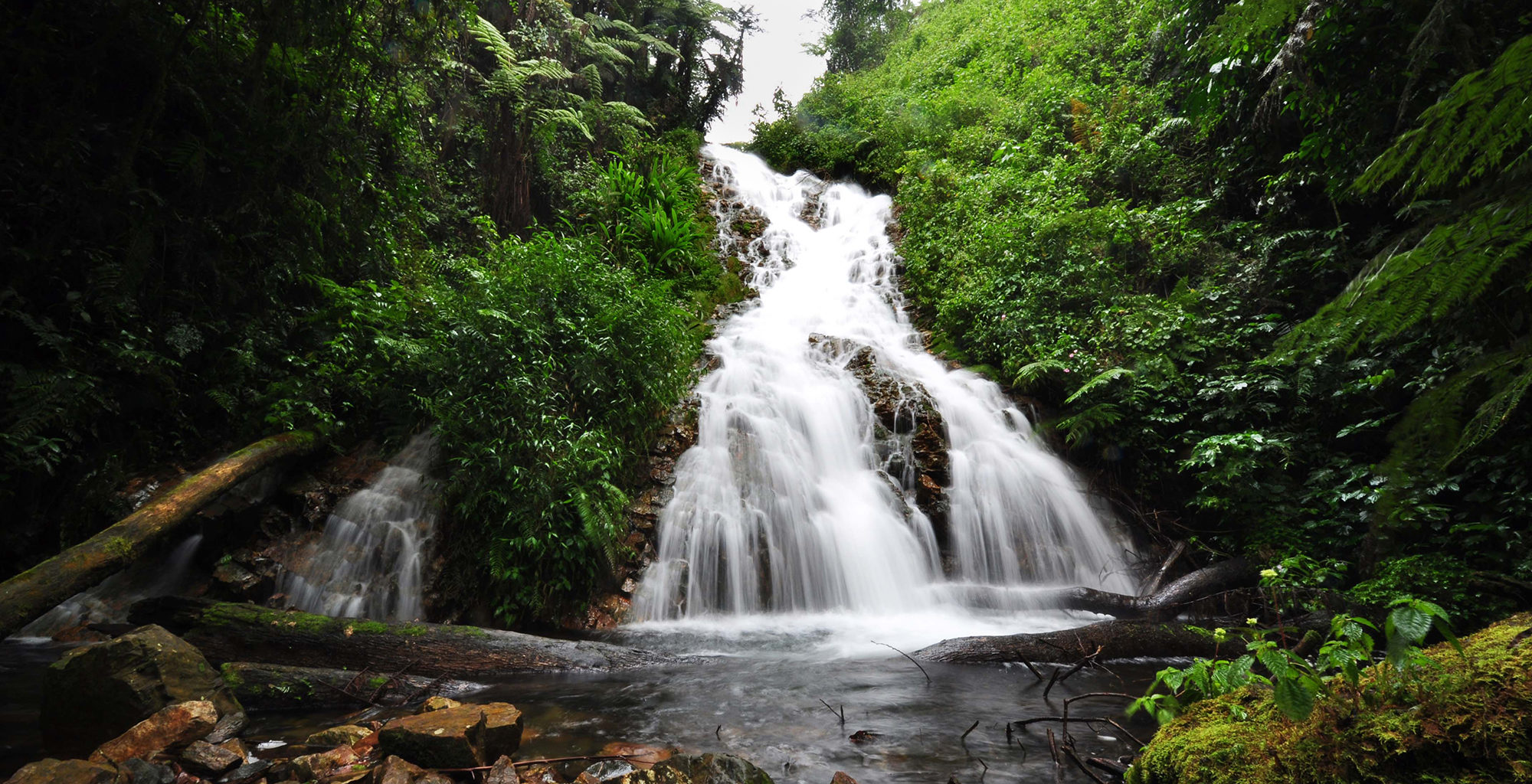 Bwindi Impenetrable National Park Luxury Gorilla Safari