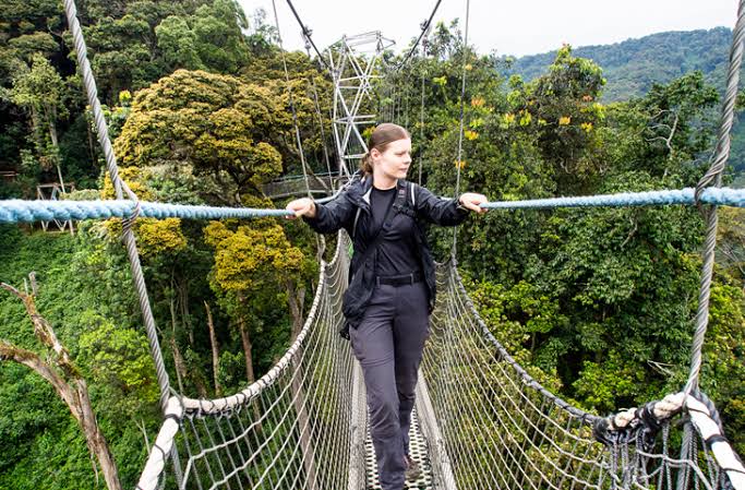 Nyungwe Forest Canopy Walk Experience