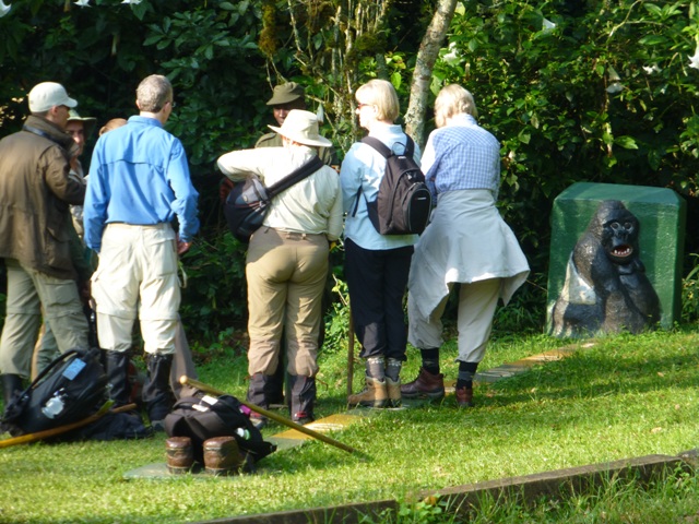 Best Clothing for Luxury Gorilla Trekking Safaris