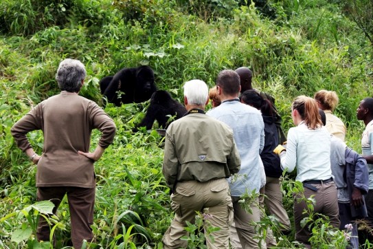 Choosing the Right Clothing for Luxury Gorilla Trekking