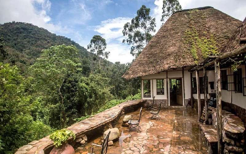 Clouds Mountain Gorilla Lodge Uganda
