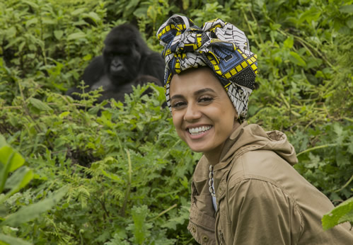 Luxury Gorilla Trekking for Corporate Travelers is increasingly being used as a premium incentive travel experience. Organizations seeking exceptional 