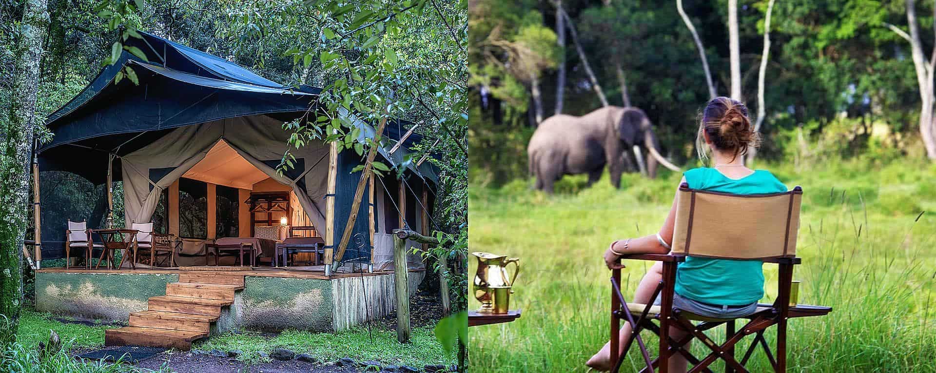 These exclusive experiences transform Ultra Luxury African Gorilla Tours into highly customized journeys that go far beyond wildlife viewing. By combining mountain gorillas, luxury hospitality, conservation, wellness, culture, adventure, and personalized service, travelers can create an itinerary that perfectly reflects their interests and aspirations. The result is one of Africa’s most extraordinary luxury travel experiences, delivering unforgettable memories while showcasing the continent’s