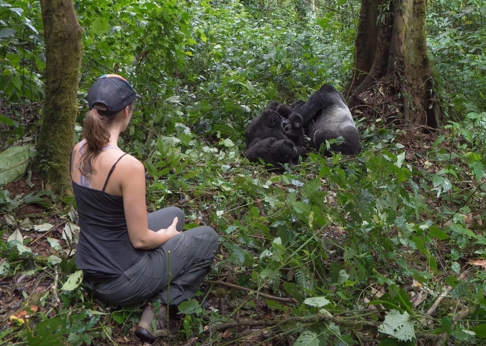 Many travelers begin researching What to Expect on a Luxury Gorilla Safari because they want