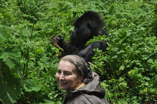 Luxury Gorilla Safaris for Photographers can be enhanced by incorporating additional photographic opportunities across East and Southern Africa. Many photographers combine gorilla trekking with Big Five safaris, chimpanzee tracking, Great
