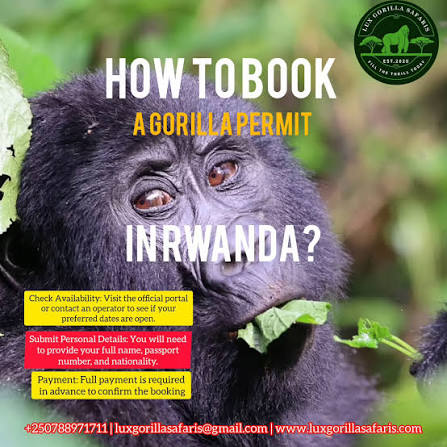 Check Gorilla Permit Availability