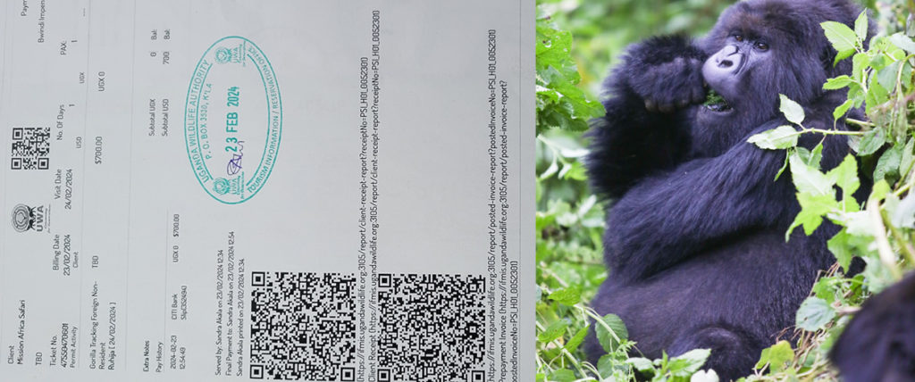 Gorilla Permit Availability Checker in Rwanda