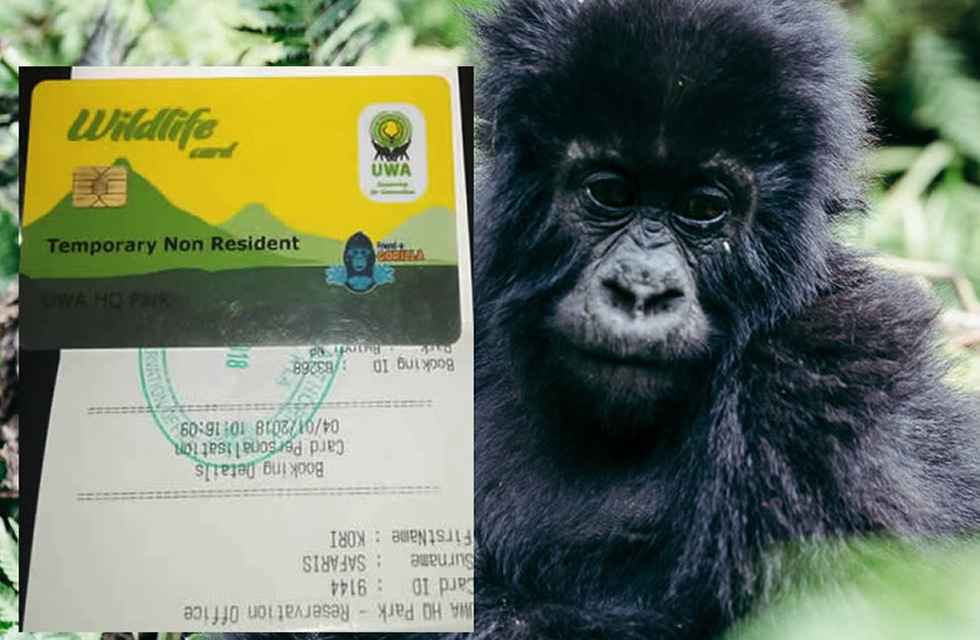 Gorilla Permit Availability System