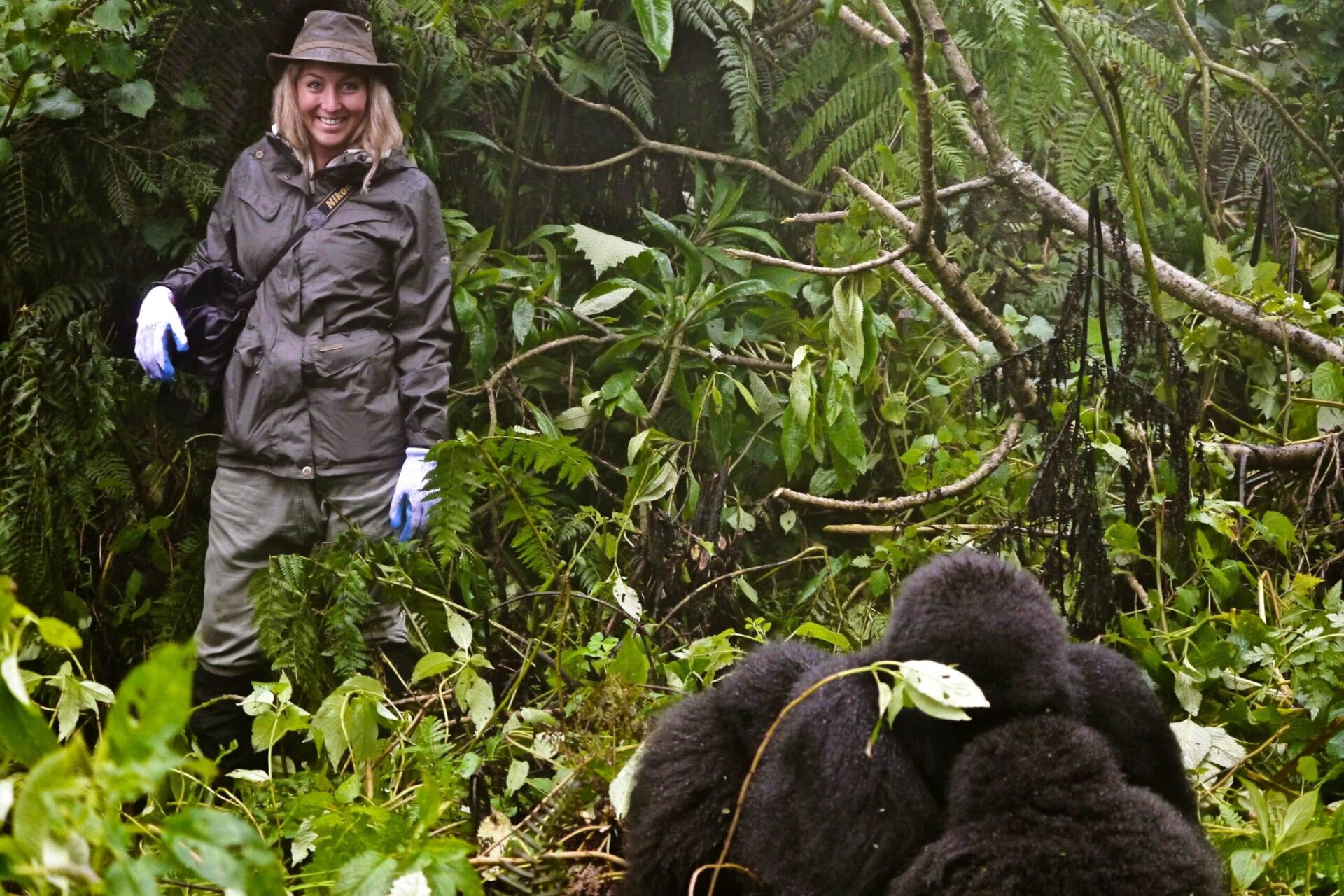 Luxury travel often emphasizes exclusivity and personalized experiences, but gorilla trekking requires a shared commitment to conservation and
