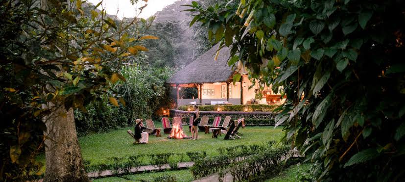 Group Gorilla Safari Discounts