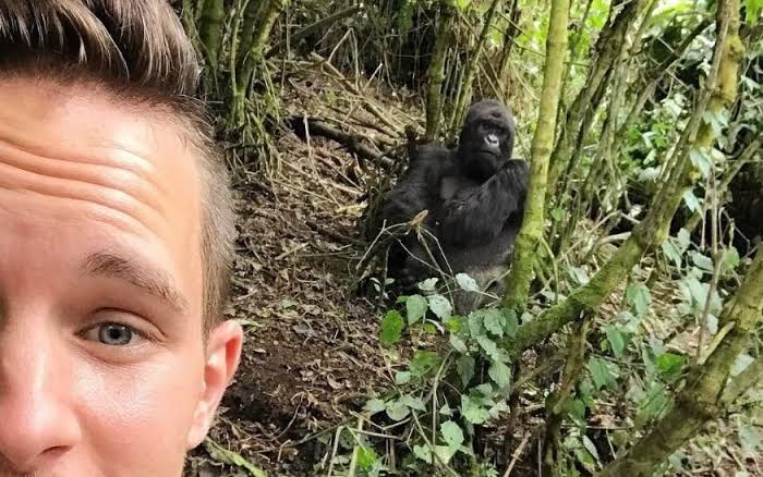 Custom Luxury Gorilla Safari Planning Process