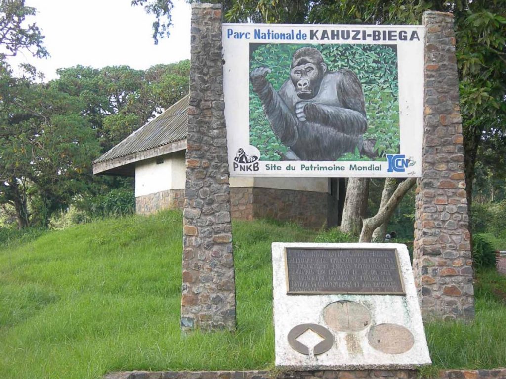 Kahuzi Biega Gorilla Habitat