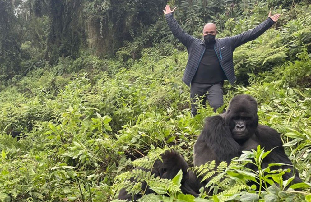 One of the unique aspects of Luxury Gorilla Trekking for Corporate Travelers is its potential to inspire personal growth and leadership reflection. Time 