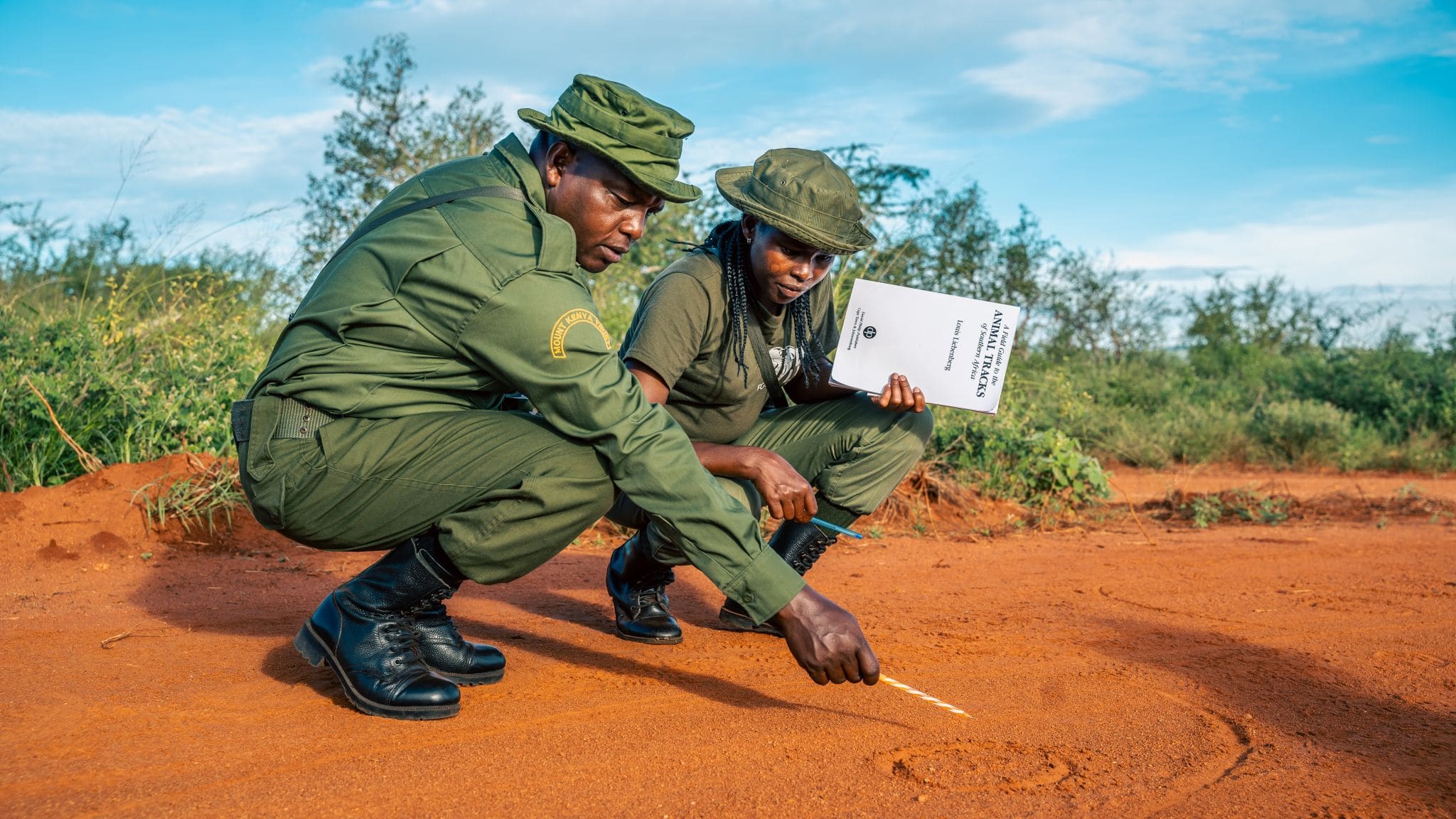 Professional guides and rangers are among the most valuable resources during a gorilla trekking experience. Their extensive knowledge of gorilla behavior,