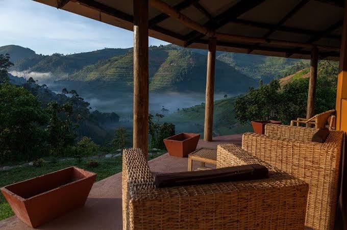 Luxury Gorilla Safari Accommodation