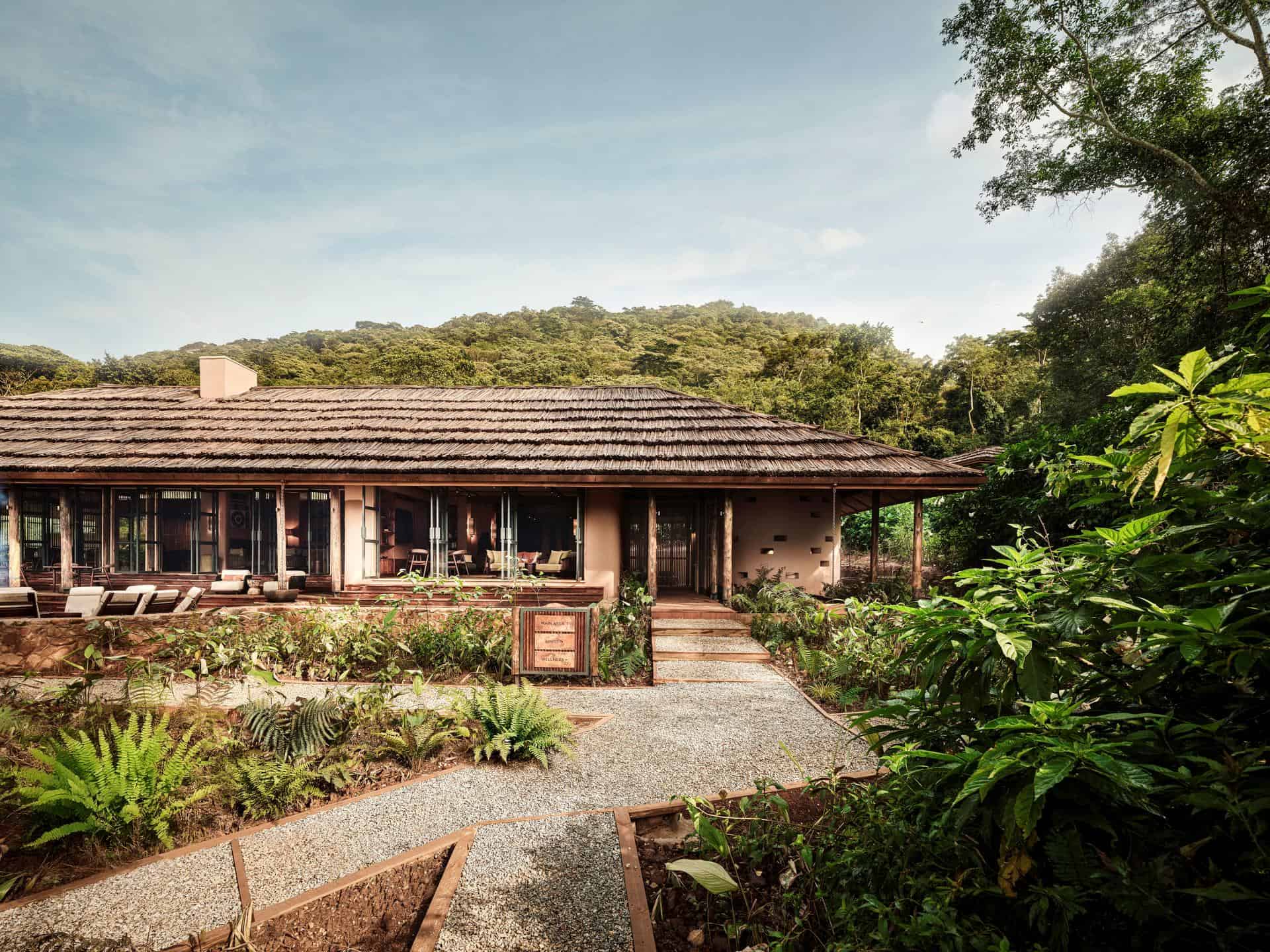 Exclusive Luxury Gorilla Safari Savings