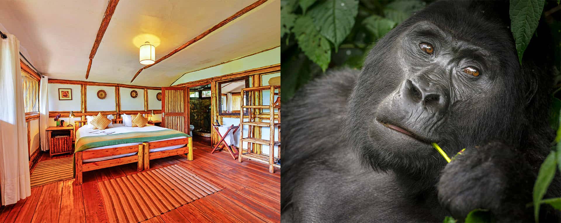 Executive Luxury Safari Lodge