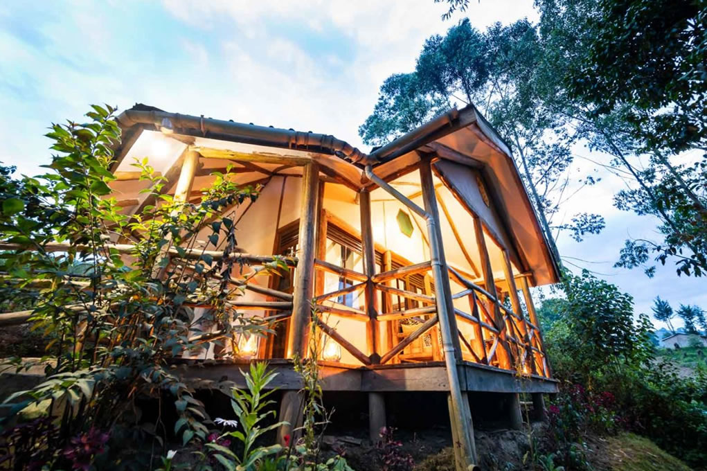 Luxury Accommodation for Last Minute Gorilla Safaris
