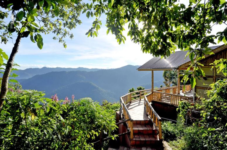 Luxury Accommodation for Last Minute Gorilla Safaris