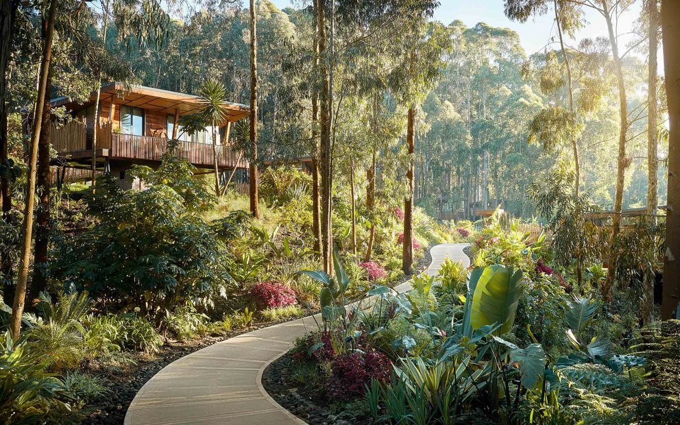 Luxury Accommodation in Custom Gorilla Safari Planner 2