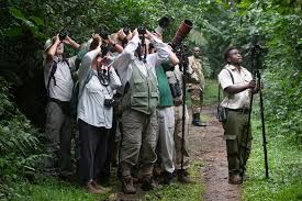 Luxury Uganda Birdwatching Experience