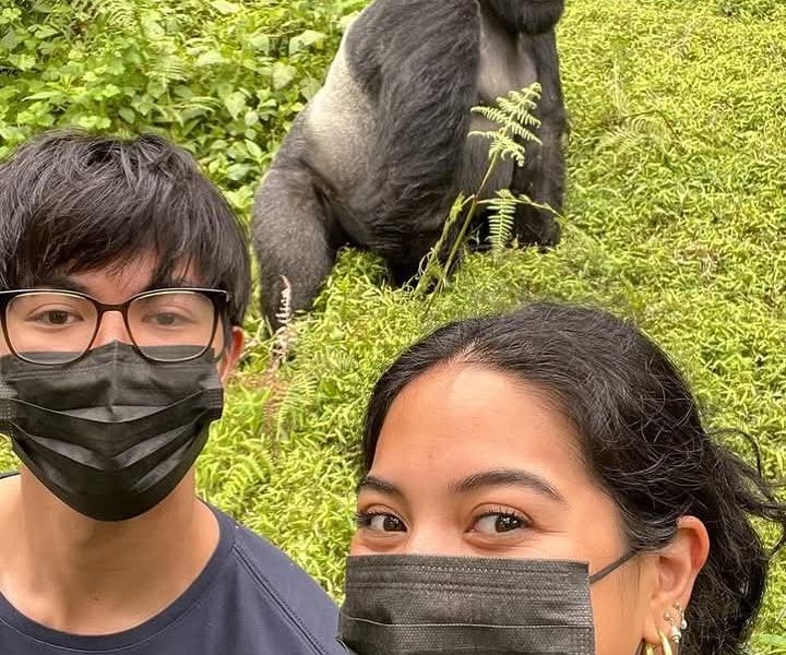 Luxury Gorilla Trekking for Couples