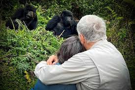 Luxury vs Standard Gorilla Trekking Experience