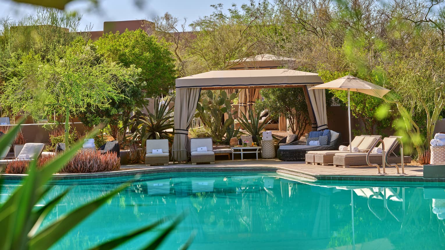 Seasonal Luxury Gorilla Safari Experiences