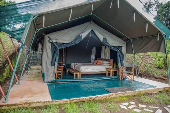 Luxury Safari Experience in Congo