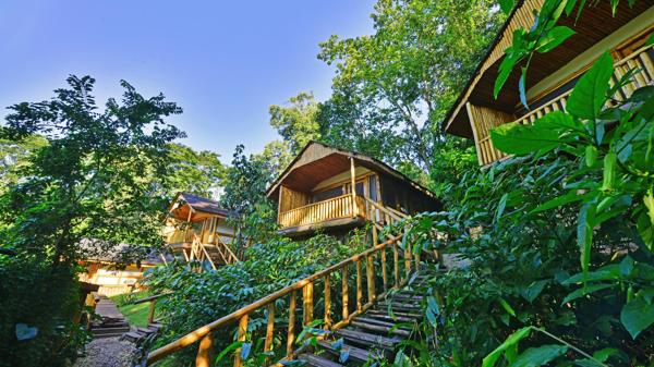 Luxury Safaris in Uganda