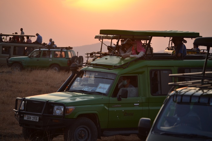 Time is often one of the most valuable resources for corporate travelers. Luxury Gorilla Trekking  for Corporate Travelers therefore incorporates transportation solutions that prioritize efficiency without sacrificing comfort. Private luxury vehicles, domestic flights, helicopter transfers, and charter flights help minimize travel 