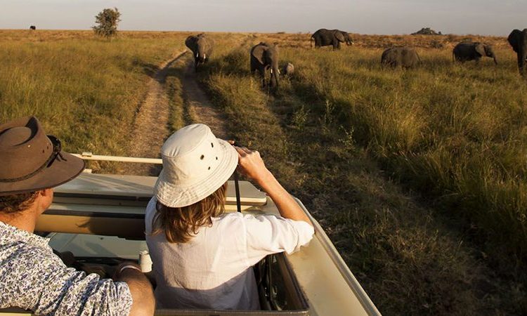 Luxury Wildlife Safaris in Queen Elizabeth National Park