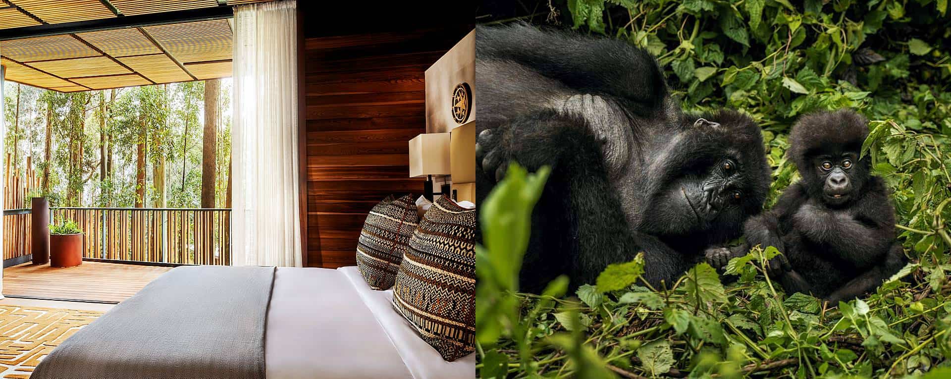 One&Only Gorilla’s Nest provides an elegant and tranquil retreat surrounded by eucalyptus forests and dramatic volcanic landscapes. As one of Rwanda’s most prestigious luxury lodges, it offers spacious suites and private 