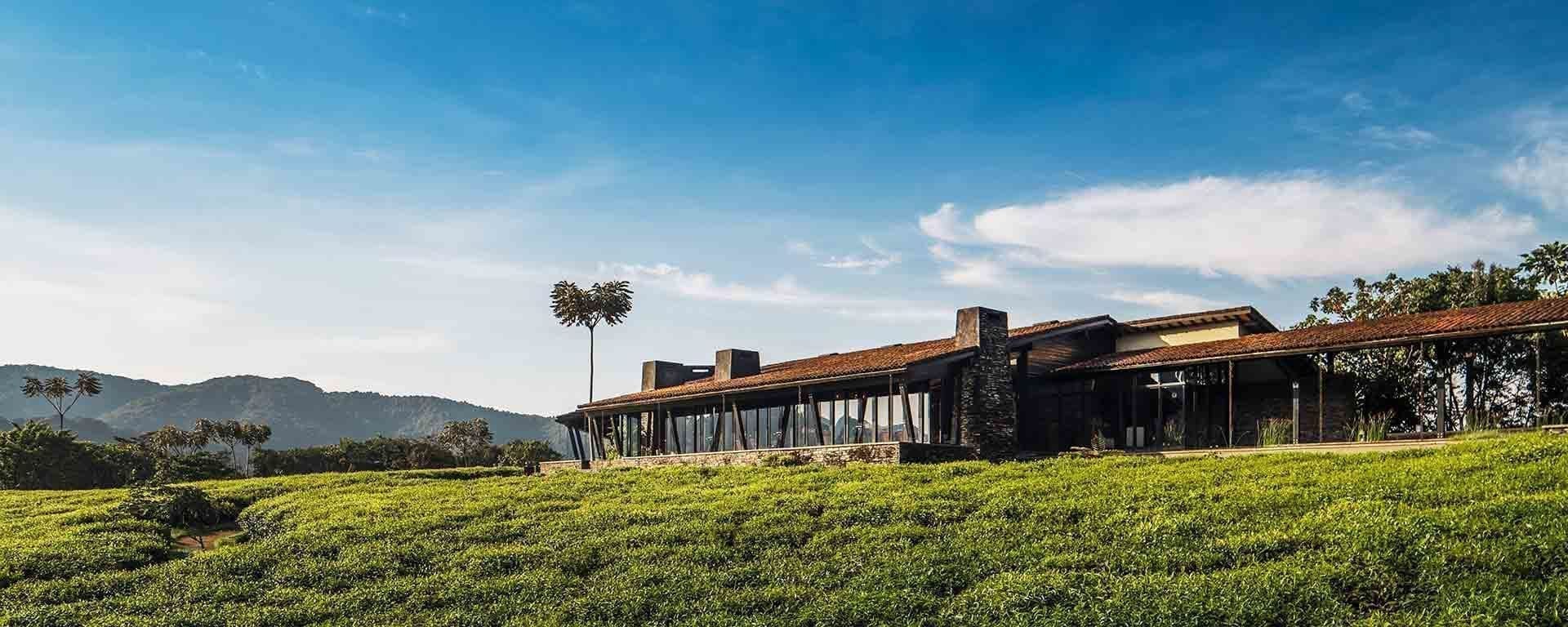 One&Only Nyungwe House offers a completely different dimension of a Rwanda luxury safari experience by introducing guests to the ancient rainforests of Nyungwe National Park. Surrounded by lush tea plantations and pristine forest, the lodge provides luxurious suites, world-class wellness facilities, gourmet dining, and exceptional hospitality. Guests can enjoy chimpanzee