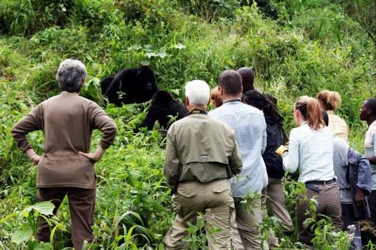 Gorilla Trekking Packing Essentials Congo